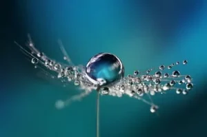 Chlorine and Chemical Irritation