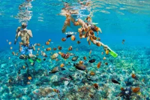 Clear Vision in the Water